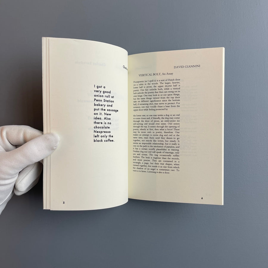 Merde (Christopher Wool cover) - Vol. 1 No.2 2016 - Saint-Martin Bookshop