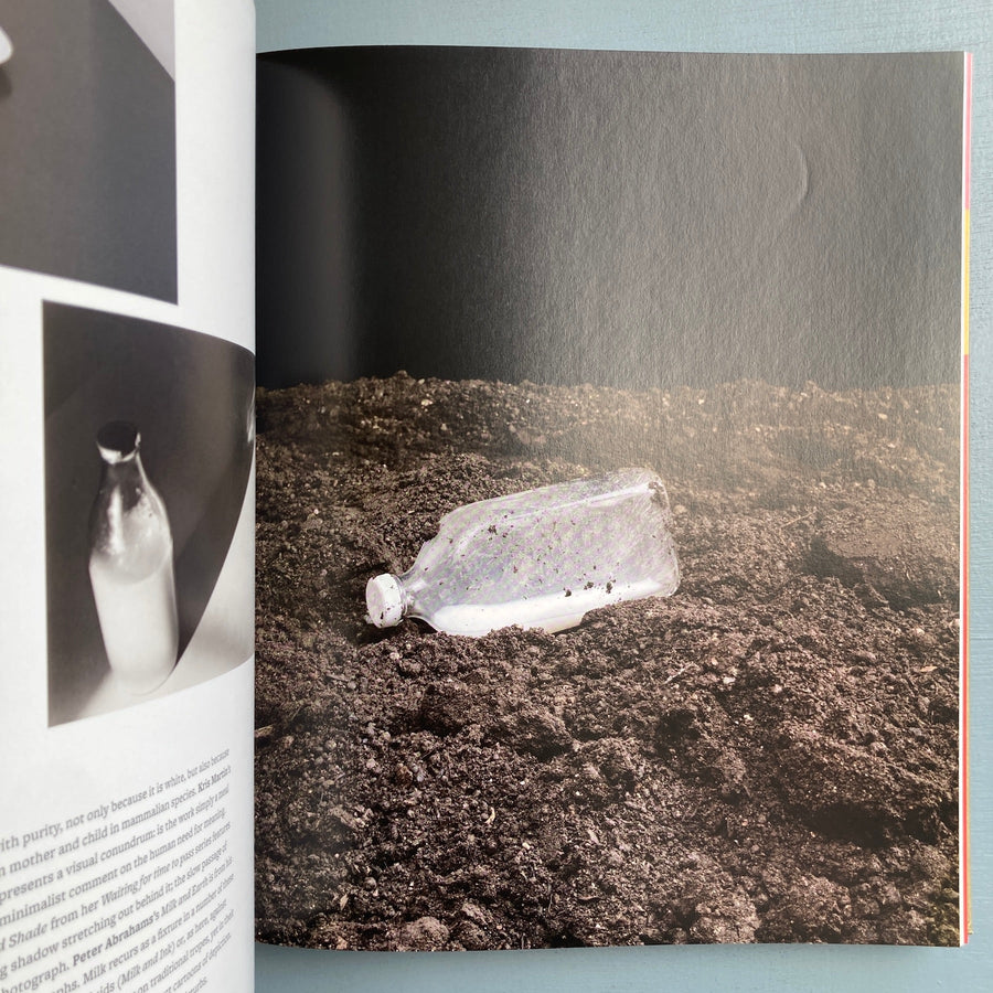 Michael Petry - Nature Morte: Contemporary artists - Thames & Hudson 2013 - Saint-Martin Bookshop