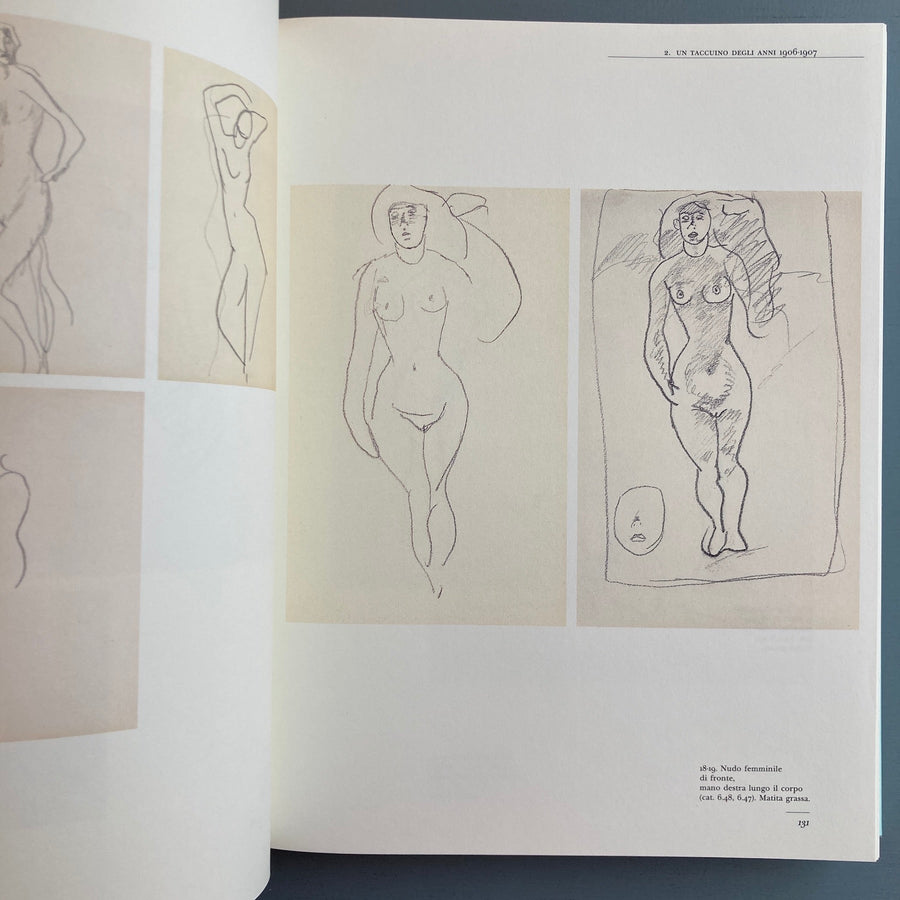 Modigliani & portfolio- Dalla collezione del dottor Paul Alexandre - Allemandi 1993 - Saint-Martin Bookshop