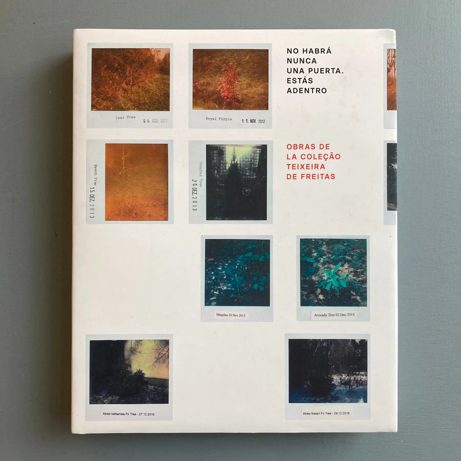 NO HABRÁ NUNCA UNA PUERTA. ESTÁS ADENTRO: Works from the Coleção Teixeira de Freitas - Fundación Banco Santander 2019 - Saint-Martin Bookshop