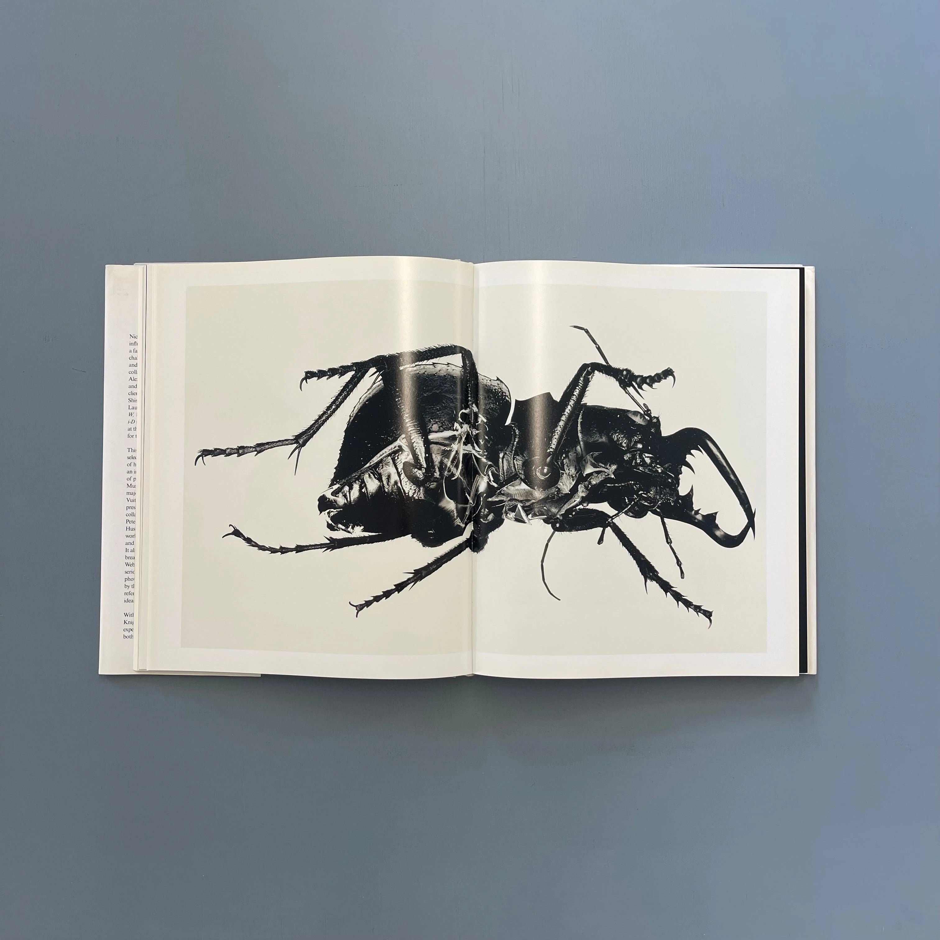 Nick Knight　Harper Design　ニック・ナイト Nick Knight - BOOK OF DAYS ONLINE SHOP