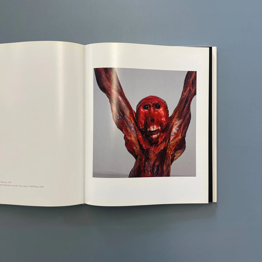 Nick Knight: Photographs 1994-2009】New