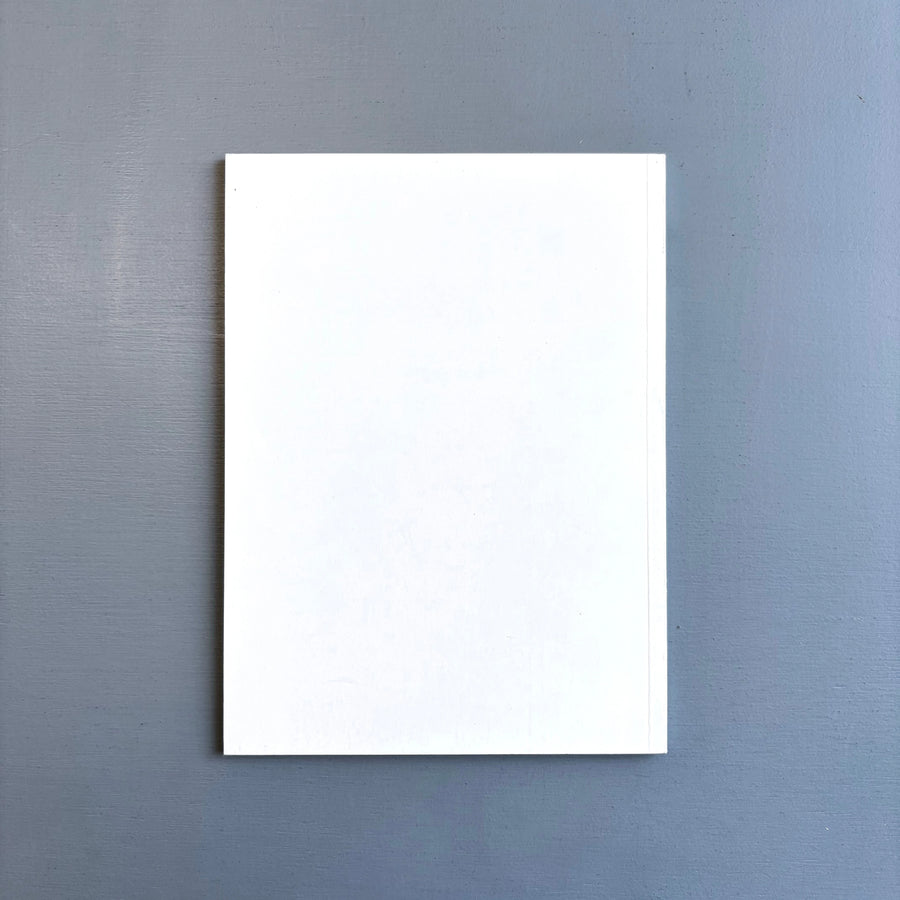 Niele Toroni - Impronte di pennello N. 50 ripetute a intervalli regolari (30 cm.) - Museo comunali d'arte di Ascona 1991