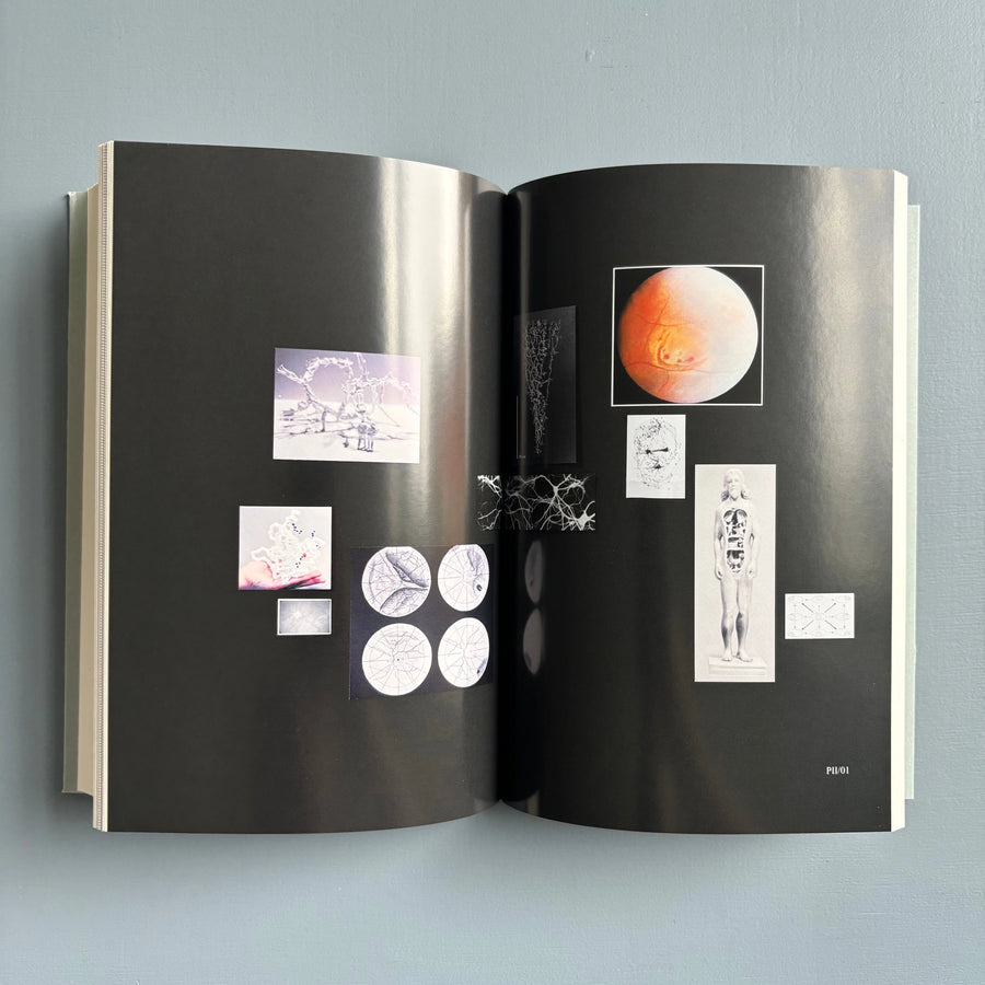 Nikolaus Gansterer - Drawing A Hypothesis, Figures of Thought - Edition Angewandte 2011