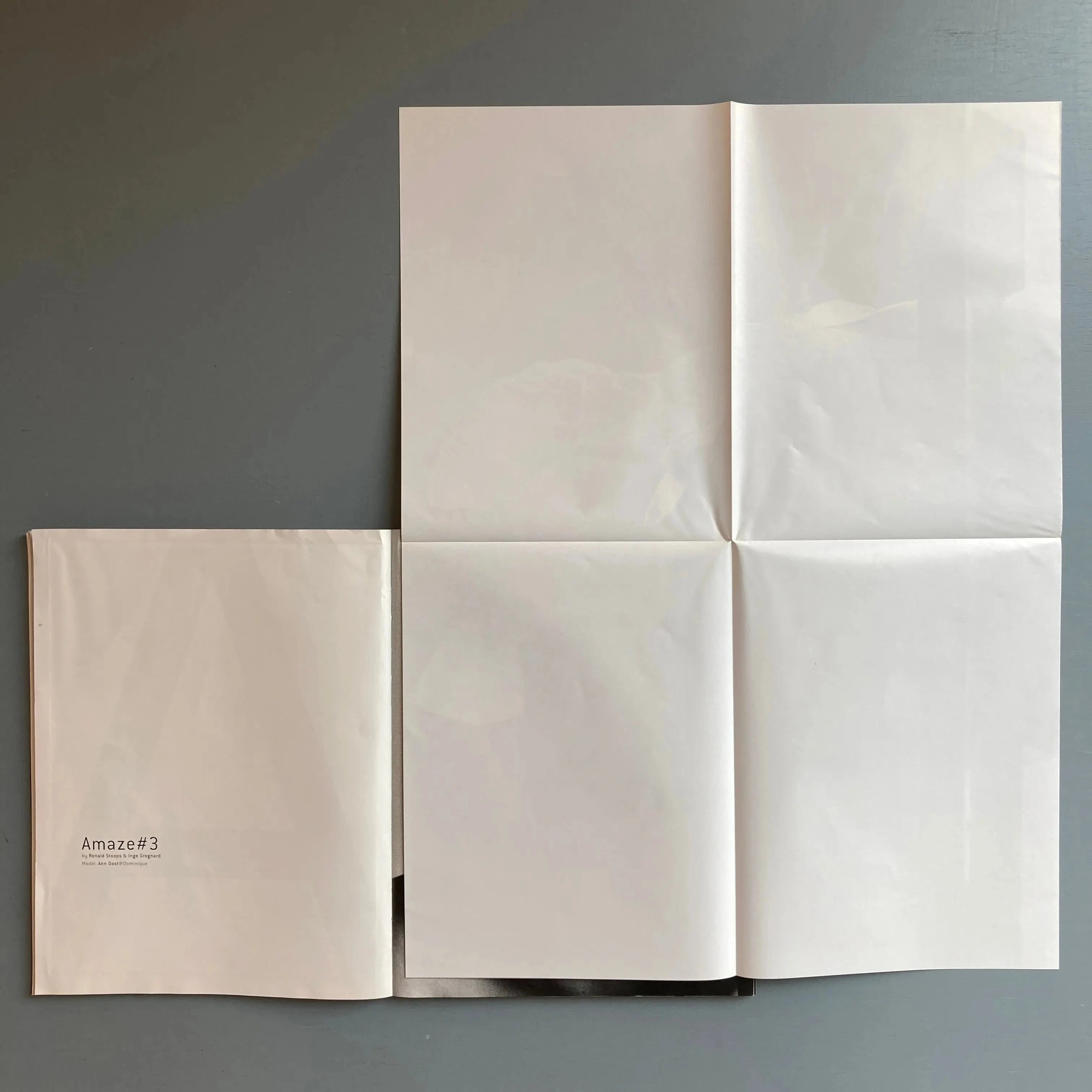 N°A magazine featuring Dirk Van Saene - (A Magazine curated by