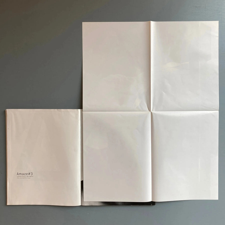N°A magazine featuring Dirk Van Saene - (A Magazine curated by