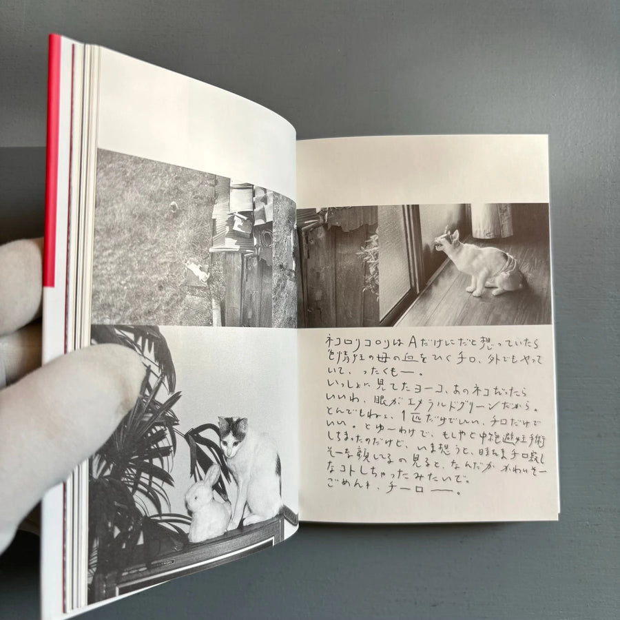 Nobuyoshi Araki - Chiro My Love - Heibonsha Library Off Series 2002