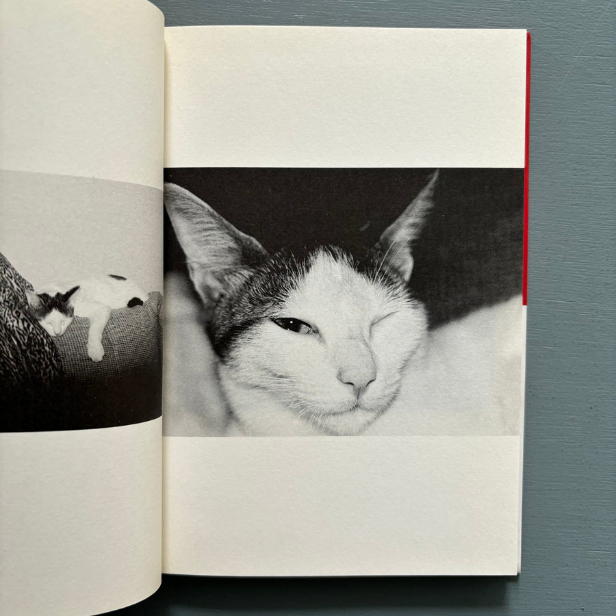 Nobuyoshi Araki - Chiro, My Love - Heibonsha Lt 1994 - Saint-Martin Bookshop