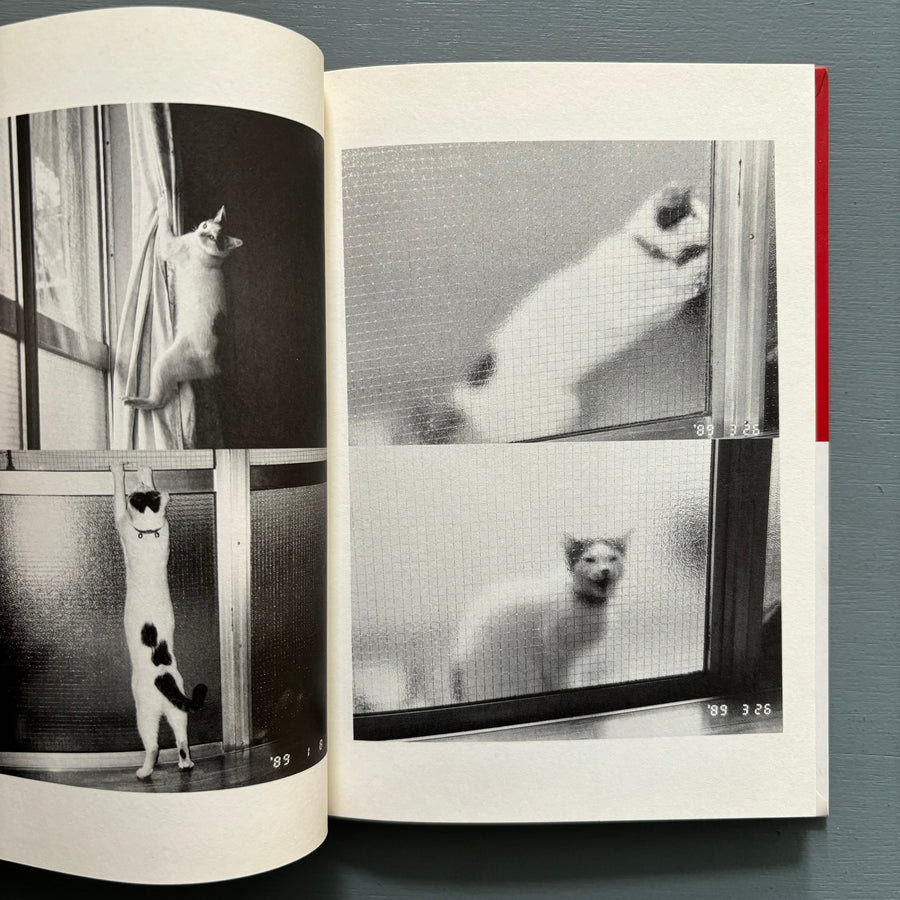 Nobuyoshi Araki - Chiro, My Love - Heibonsha Lt 1994 - Saint-Martin Bookshop