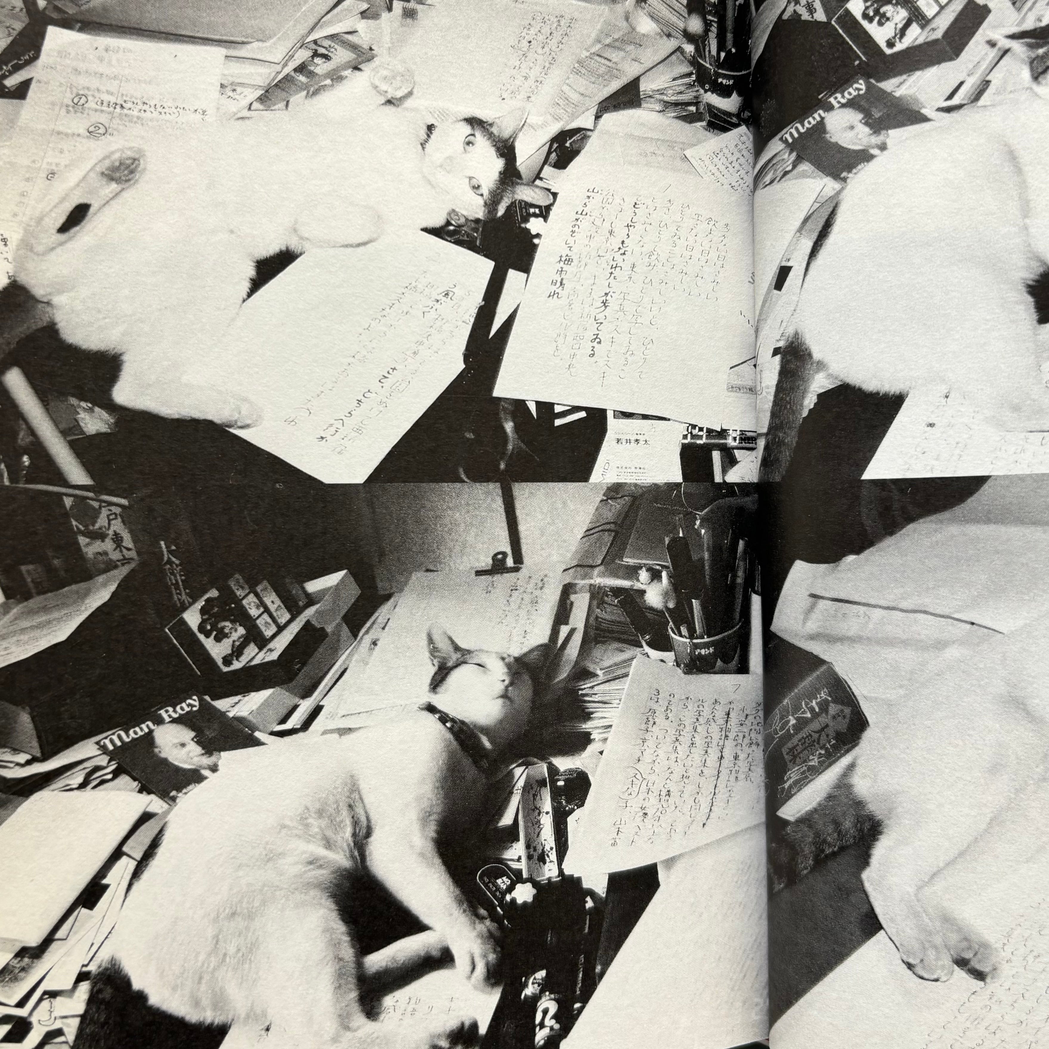Chiro meページ Nobuyoshi Araki - Chiro, My Love - Heibonsha Lt 1994 - Saint