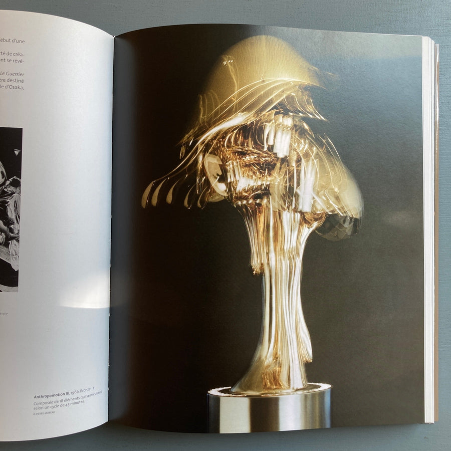 Olivier Strebelle: Histoires de Sculptures - Fonds Mercator 2009 - Saint-Martin Bookshop