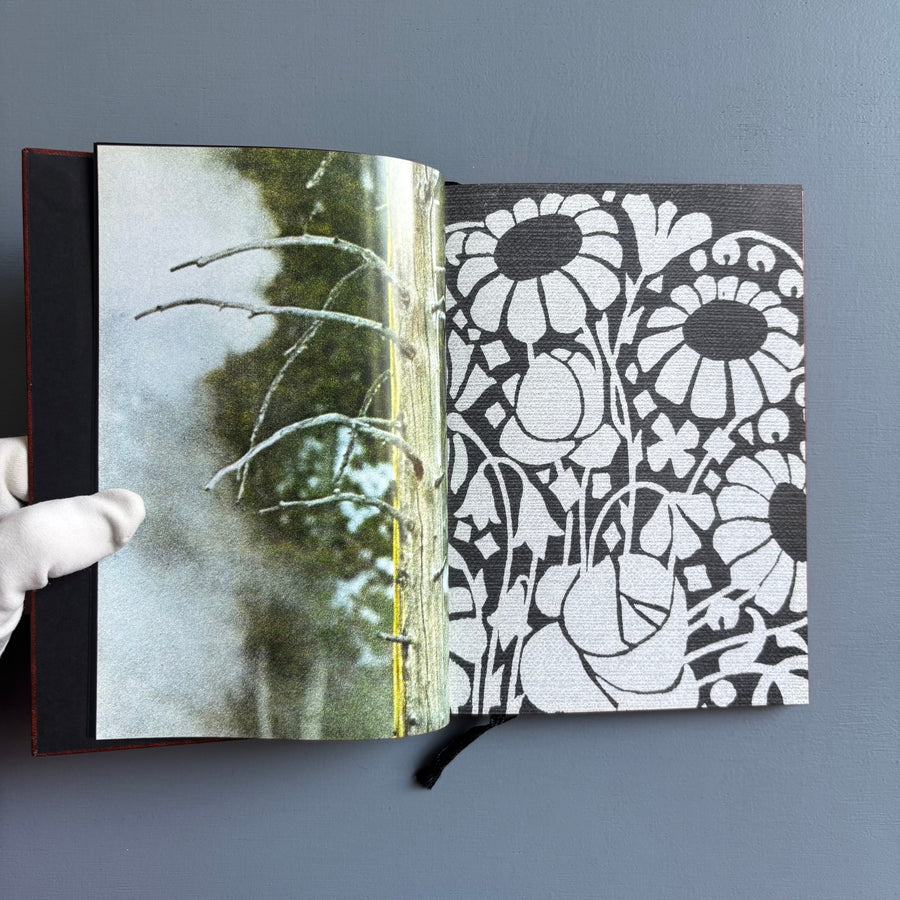 Paul Morrison - Black Medick - Imschoot 2004 - Saint-Martin Bookshop