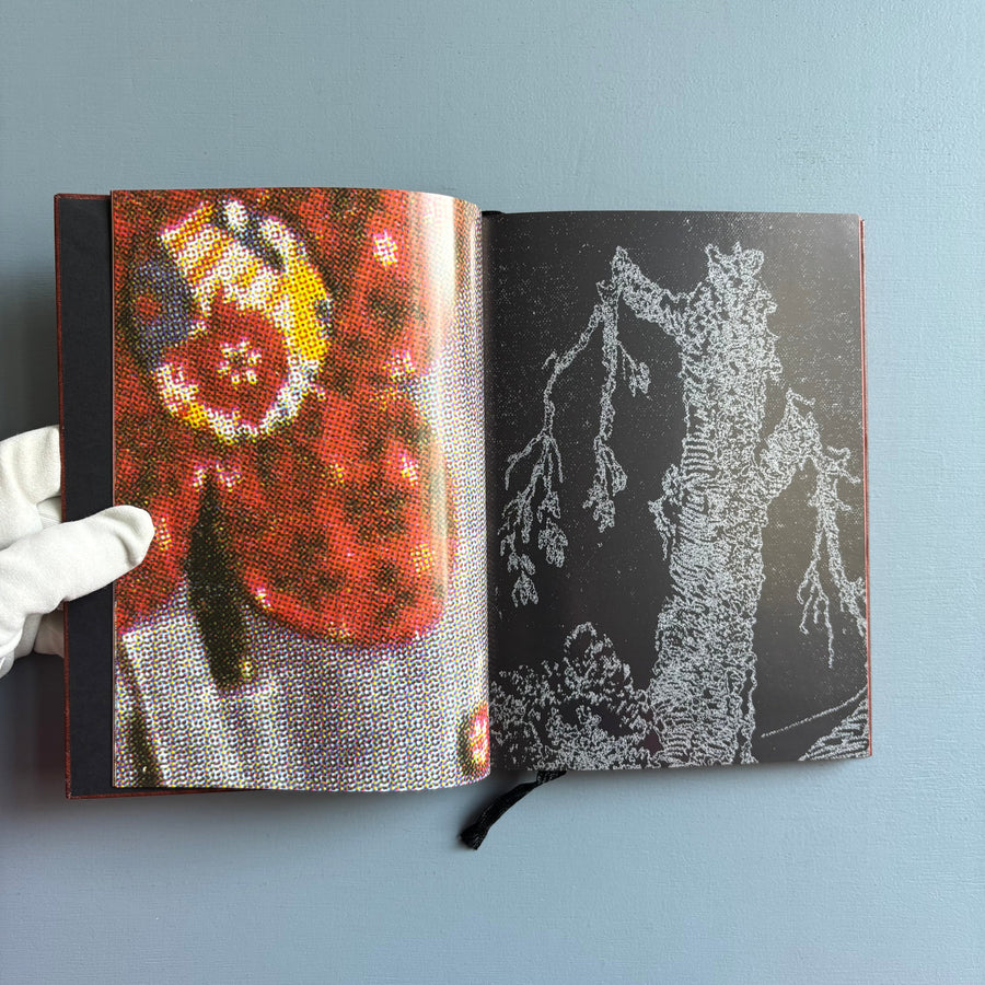 Paul Morrison - Black Medick - Imschoot 2004 - Saint-Martin Bookshop