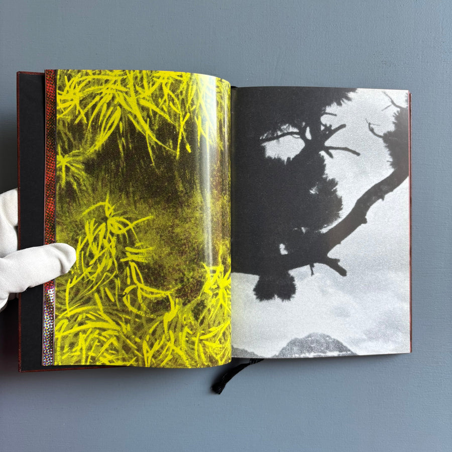 Paul Morrison - Black Medick - Imschoot 2004 - Saint-Martin Bookshop