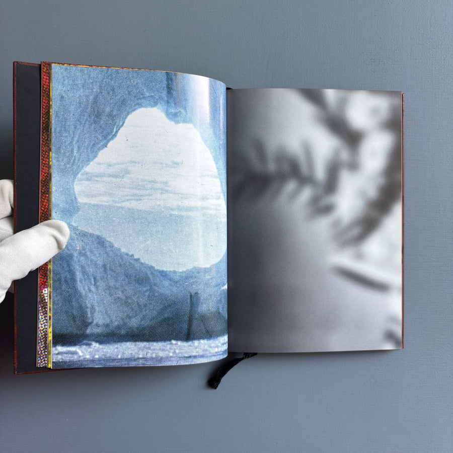 Paul Morrison - Black Medick - Imschoot 2004 - Saint-Martin Bookshop