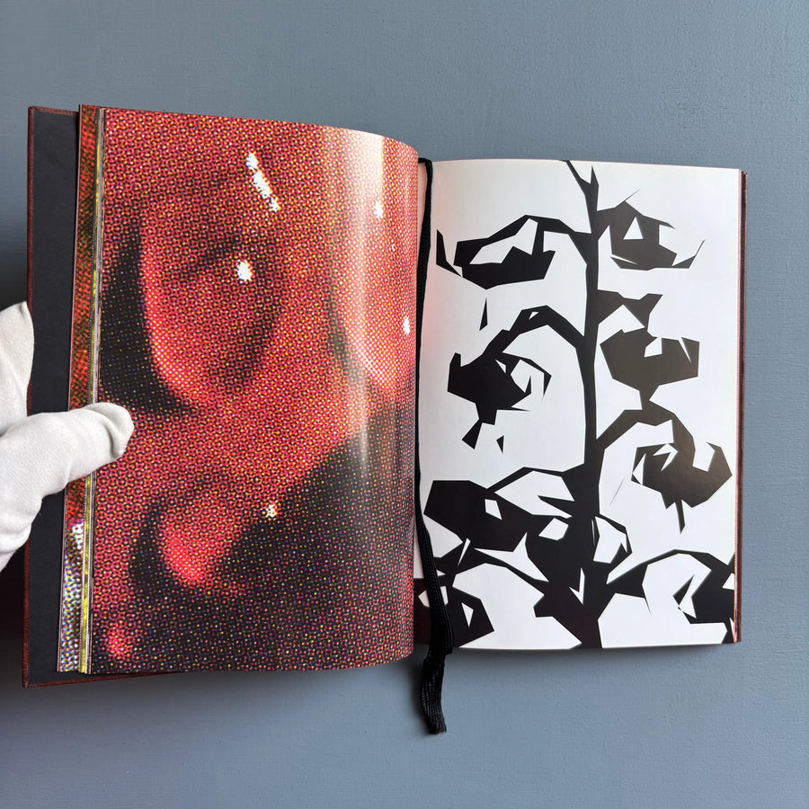 Paul Morrison - Black Medick - Imschoot 2004 - Saint-Martin Bookshop