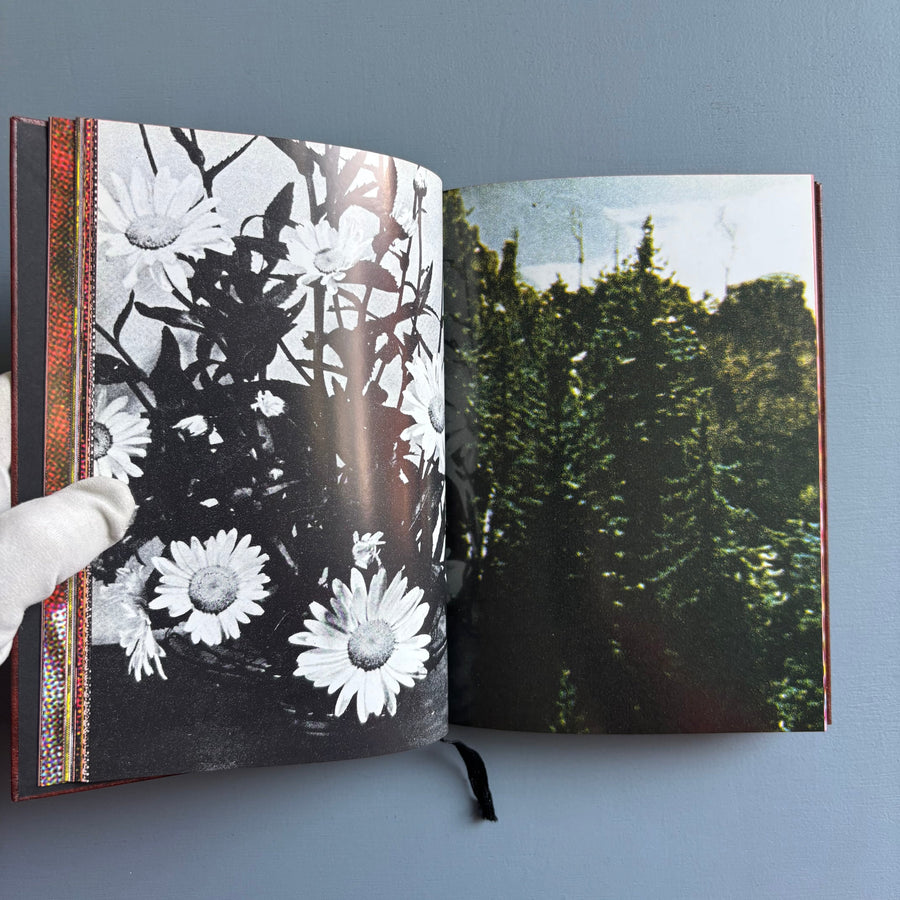 Paul Morrison - Black Medick - Imschoot 2004 - Saint-Martin Bookshop