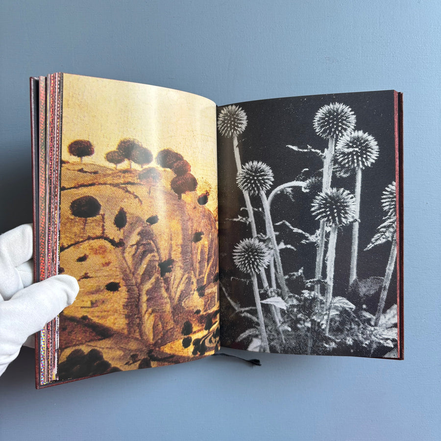 Paul Morrison - Black Medick - Imschoot 2004 - Saint-Martin Bookshop
