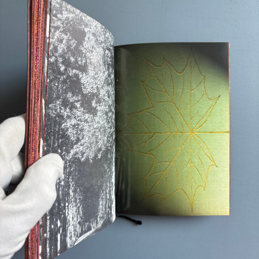 Paul Morrison - Black Medick - Imschoot 2004 - Saint-Martin Bookshop