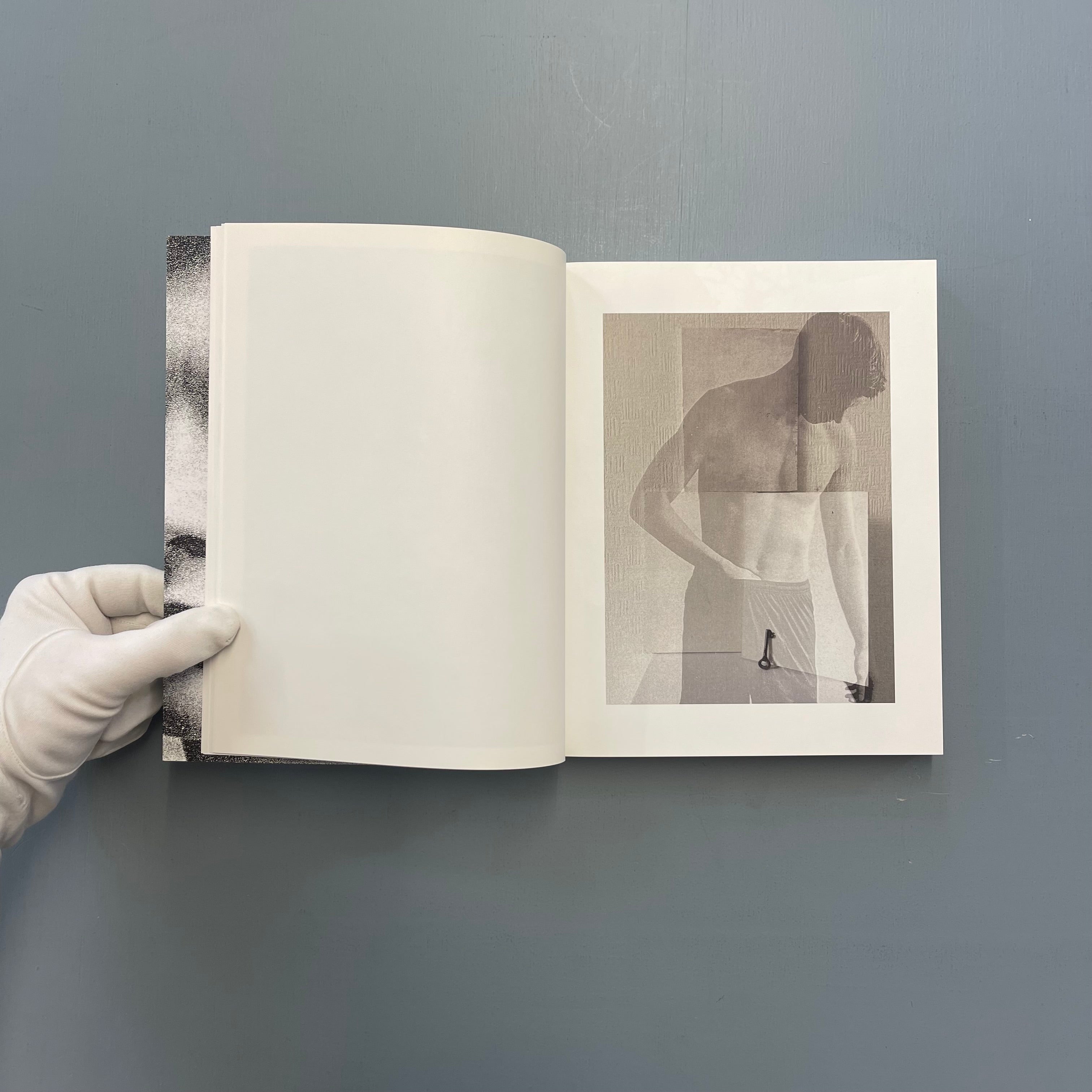 Peter De Potter - The Vanity of Certain Flowers (with signed print