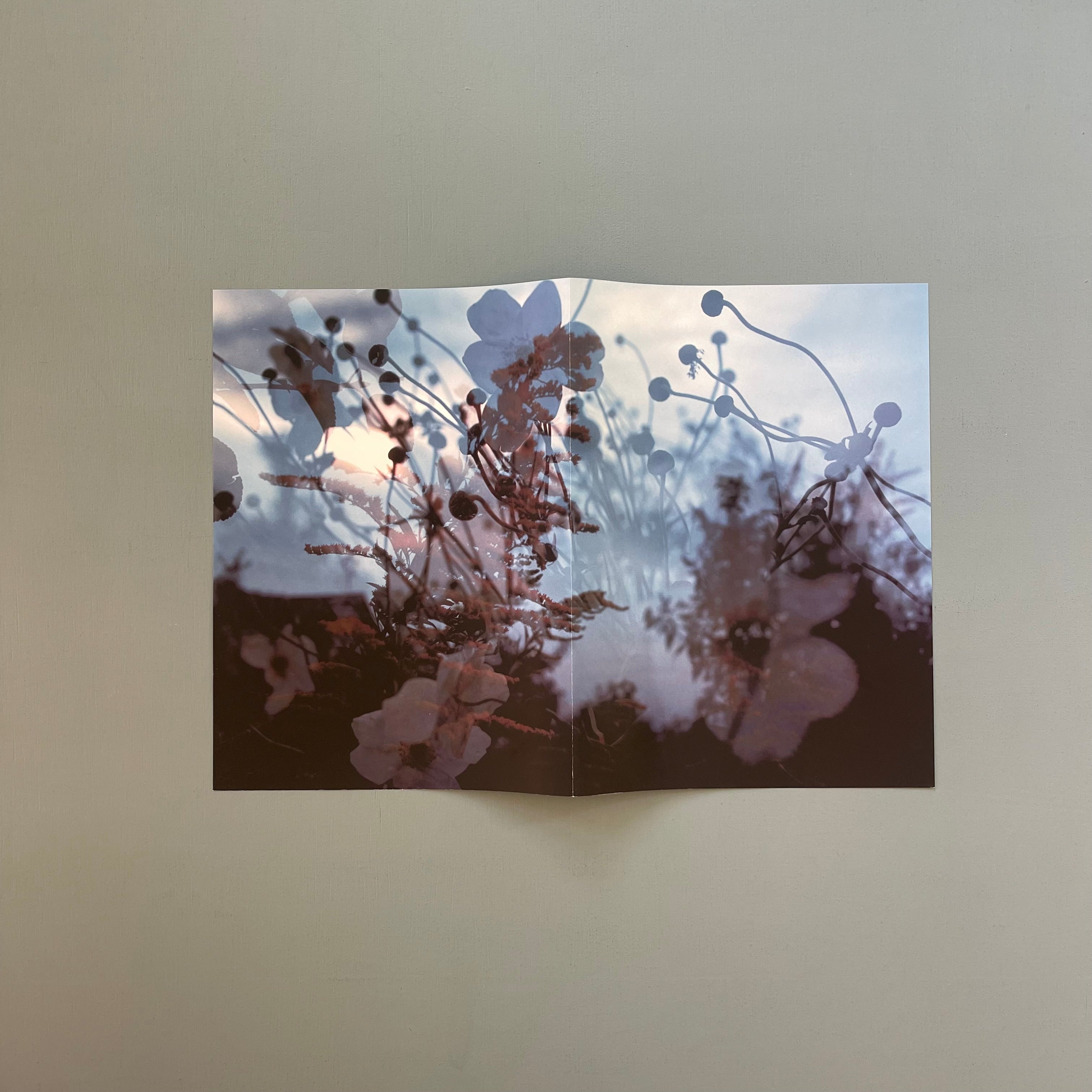Peter Fischli, David Weiss Musée d'Art Moderne de la Ville de