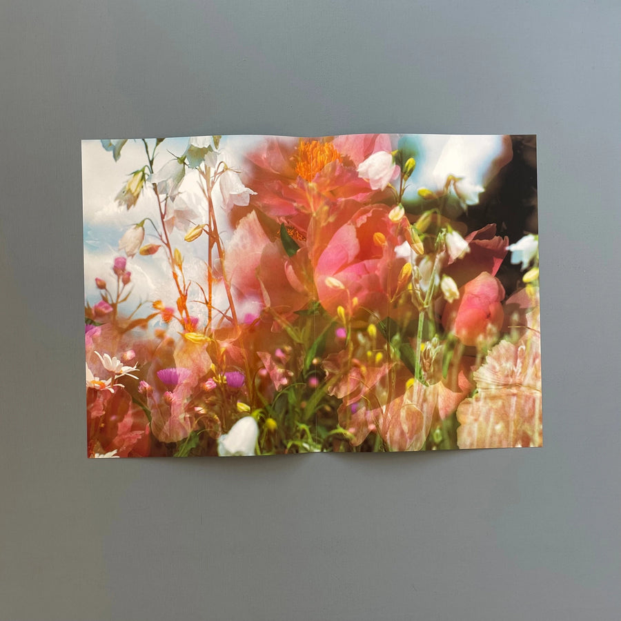 Peter Fischli, David Weiss - Musée d'Art Moderne de la Ville de Paris - Konig 1999