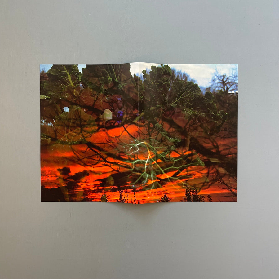 Peter Fischli, David Weiss - Musée d'Art Moderne de la Ville de Paris - Konig 1999