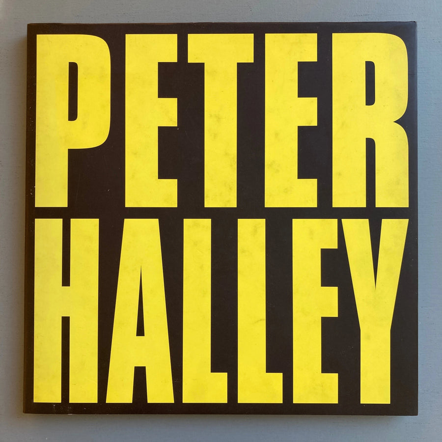 Peter Halley - Since 2000 (+DVD) - Musée d'Art Moderne Saint-Etienne Métropole 2014