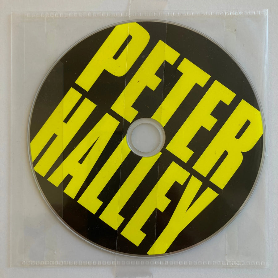 Peter Halley - Since 2000 (+DVD) - Musée d'Art Moderne Saint-Etienne Métropole 2014