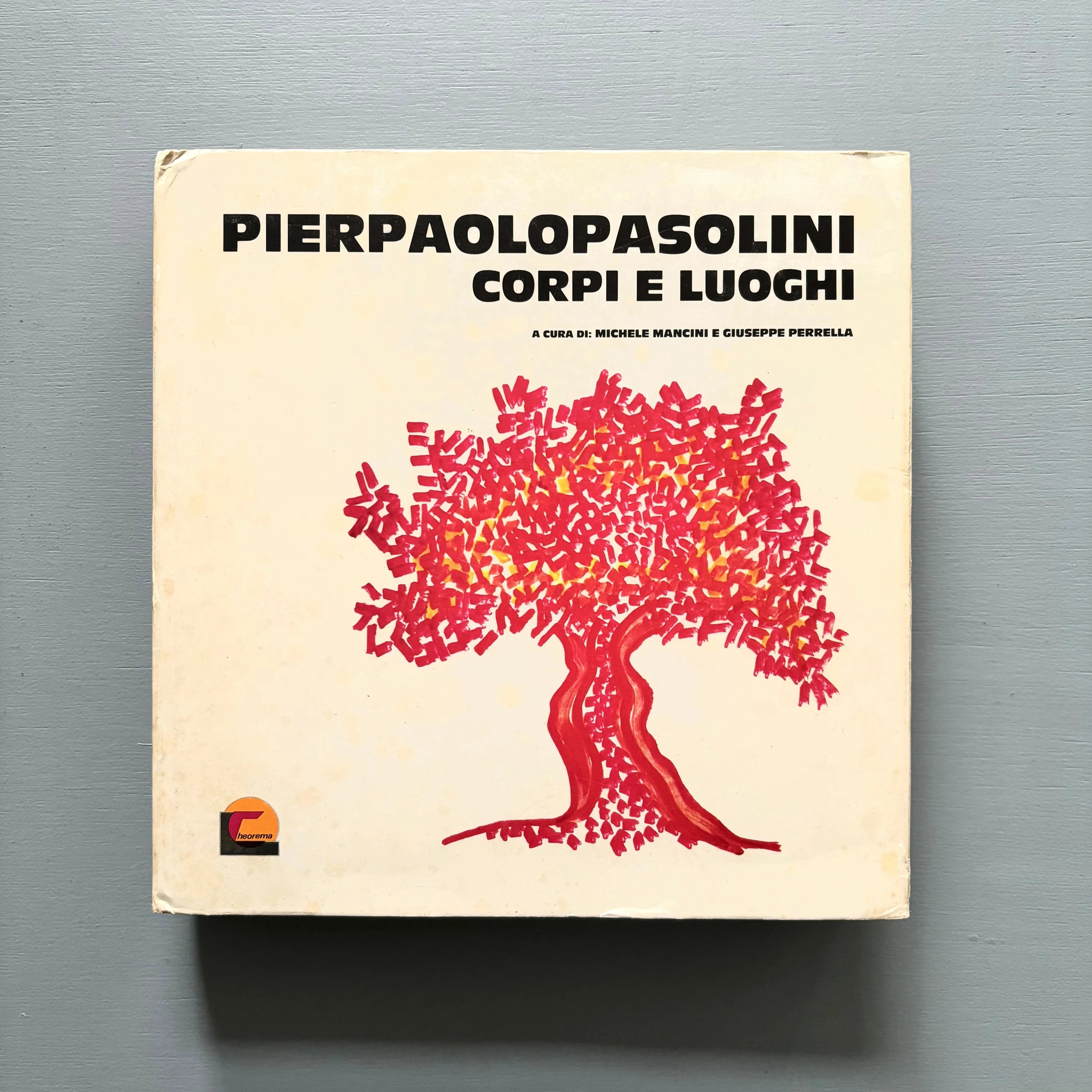 Pier Paolo Pasolini - Corpi e Luoghi - Theorema 1981 - Saint