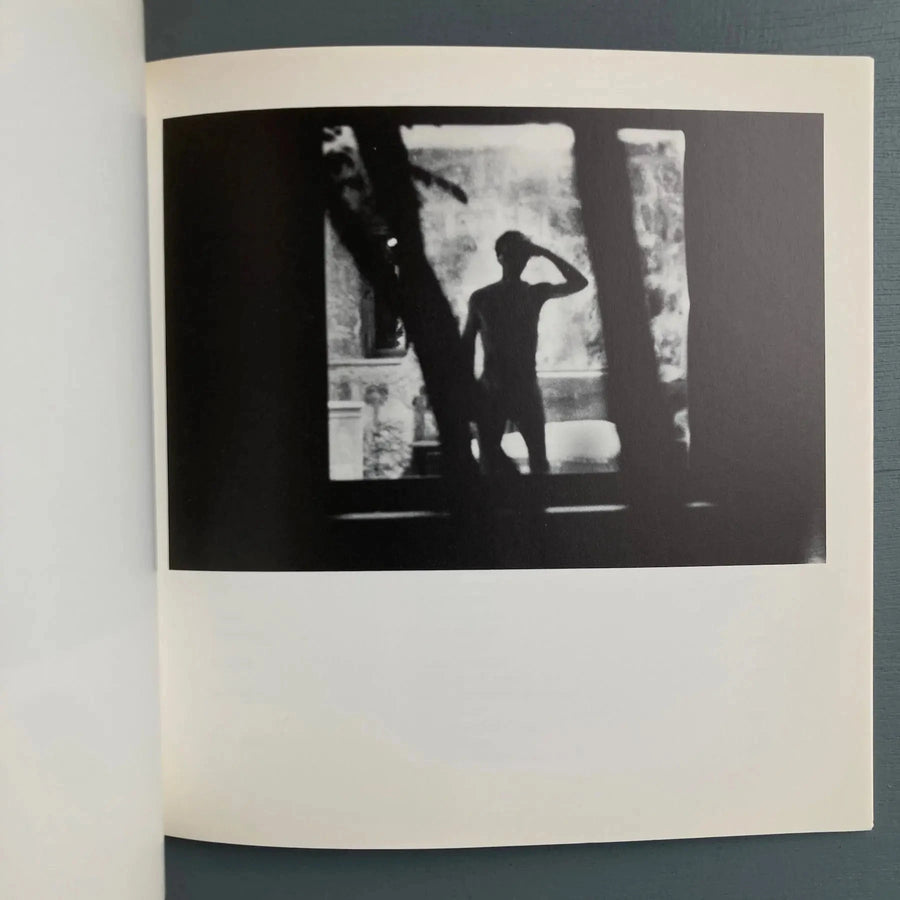 Pier Paolo Pasolini - Testamento del corpo - Arturist 1989 - Saint-Martin Bookshop