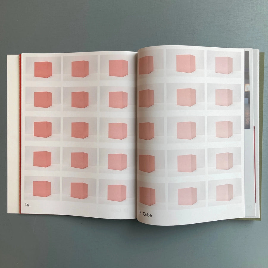 Pieter Vermeersch - Variations - Ludion 2019 - Saint-Martin Bookshop