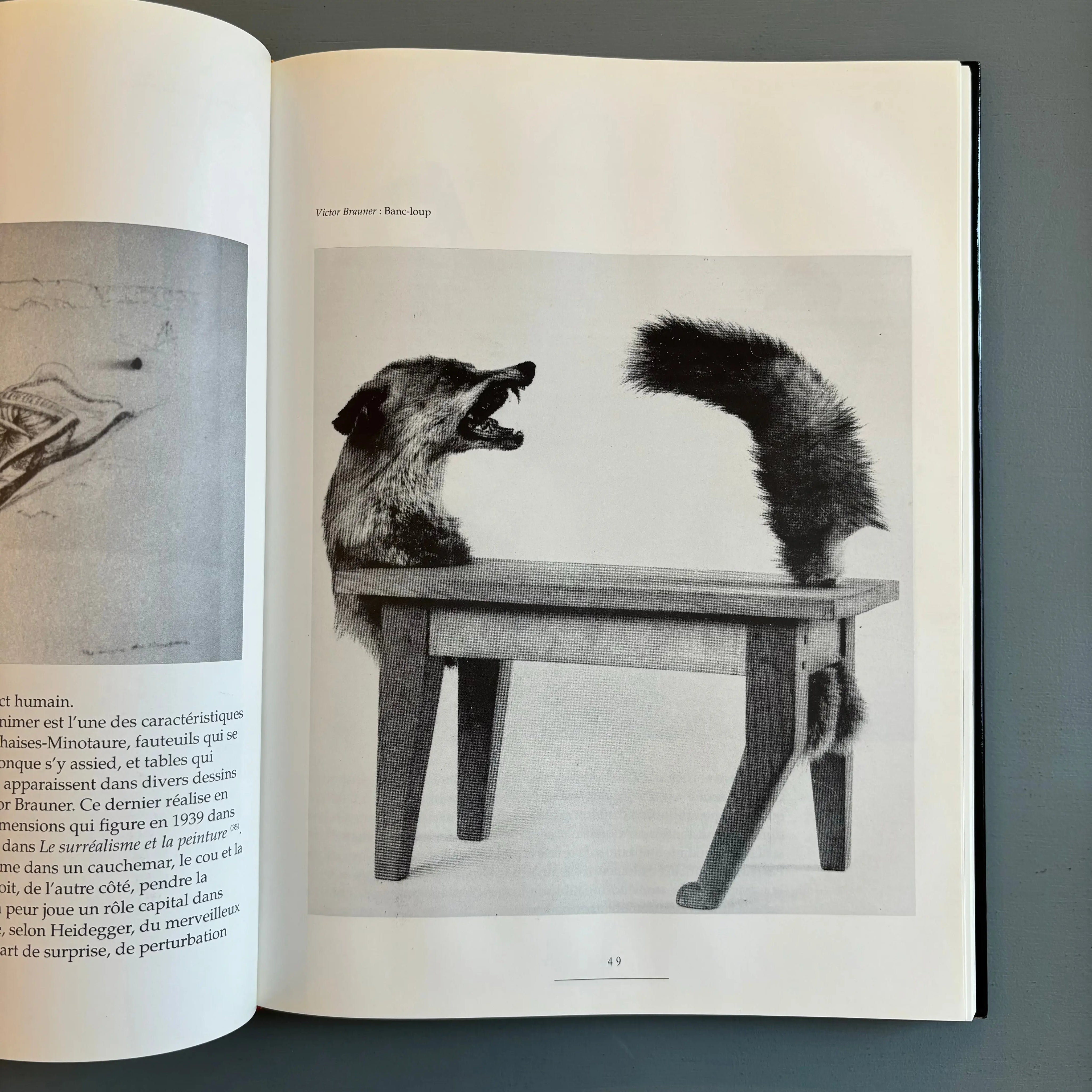 Pietro Costa Viappiani - Le mobilier surréaliste - Booking - Saint