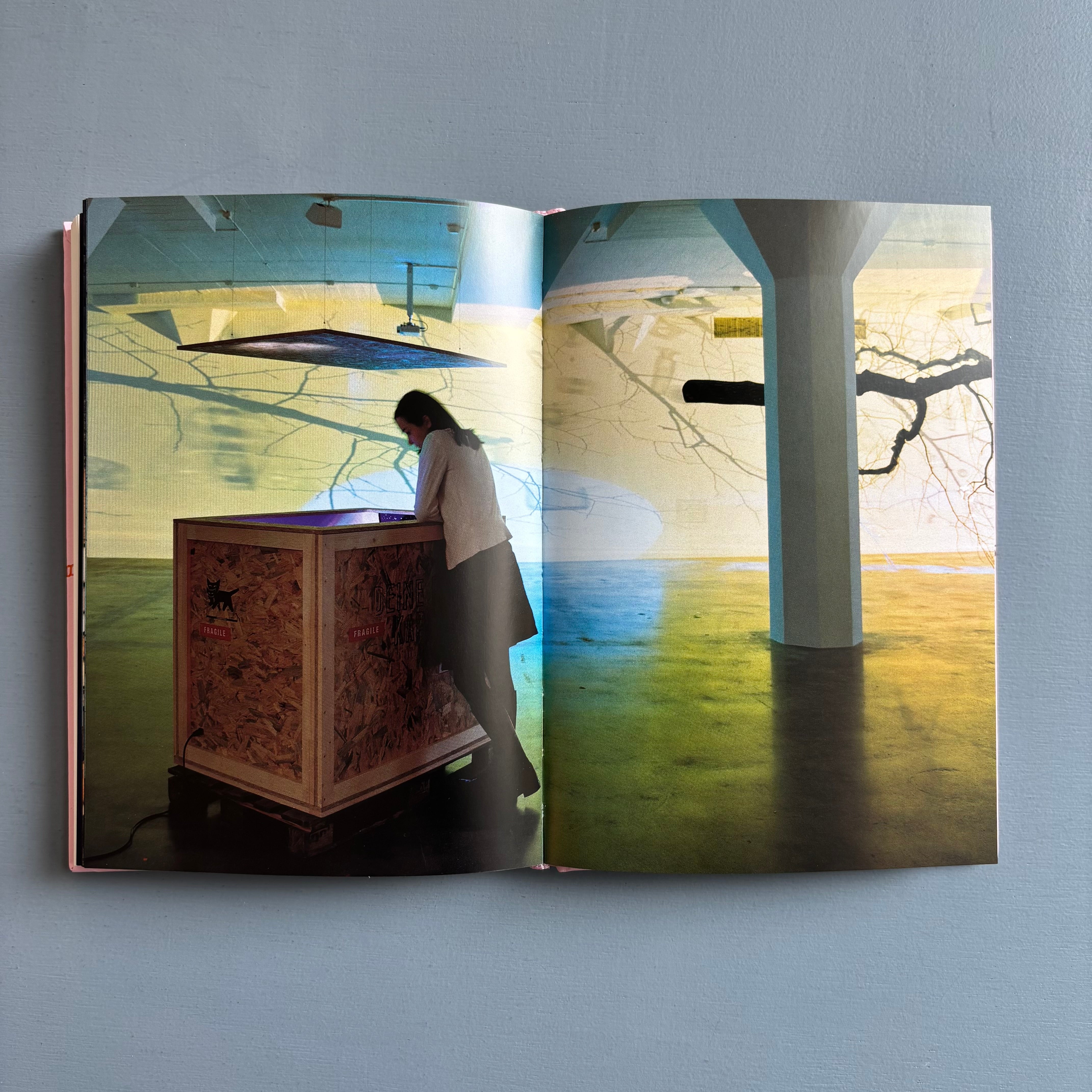 Pipilotti Rist - Congratulations! - Magasin 3/Lars Müller 2007 - Saint ...