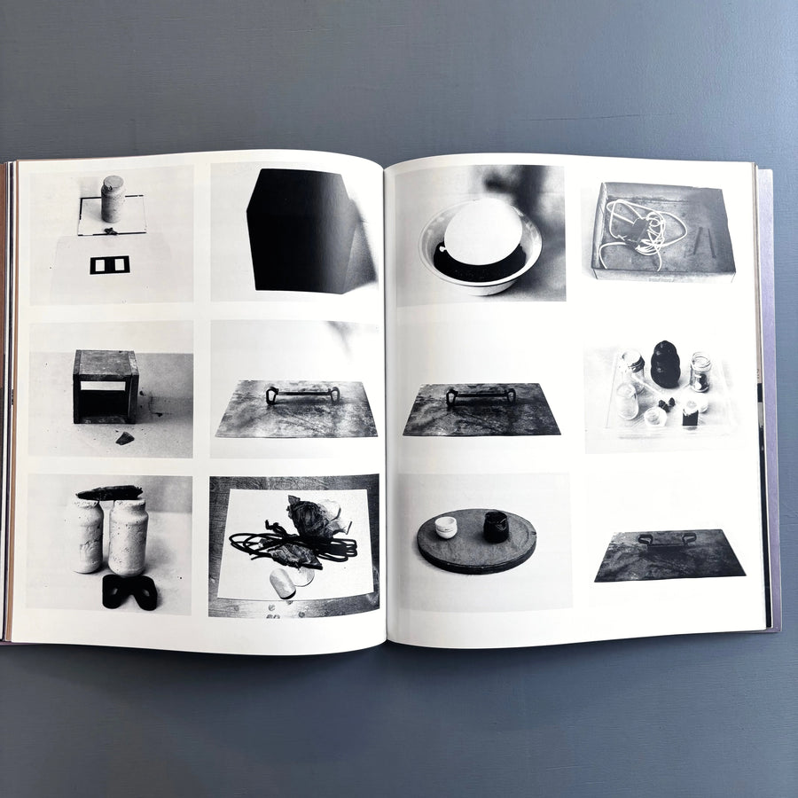 Process: A Tomato project - Thames and Hudson 1996 - Saint-Martin