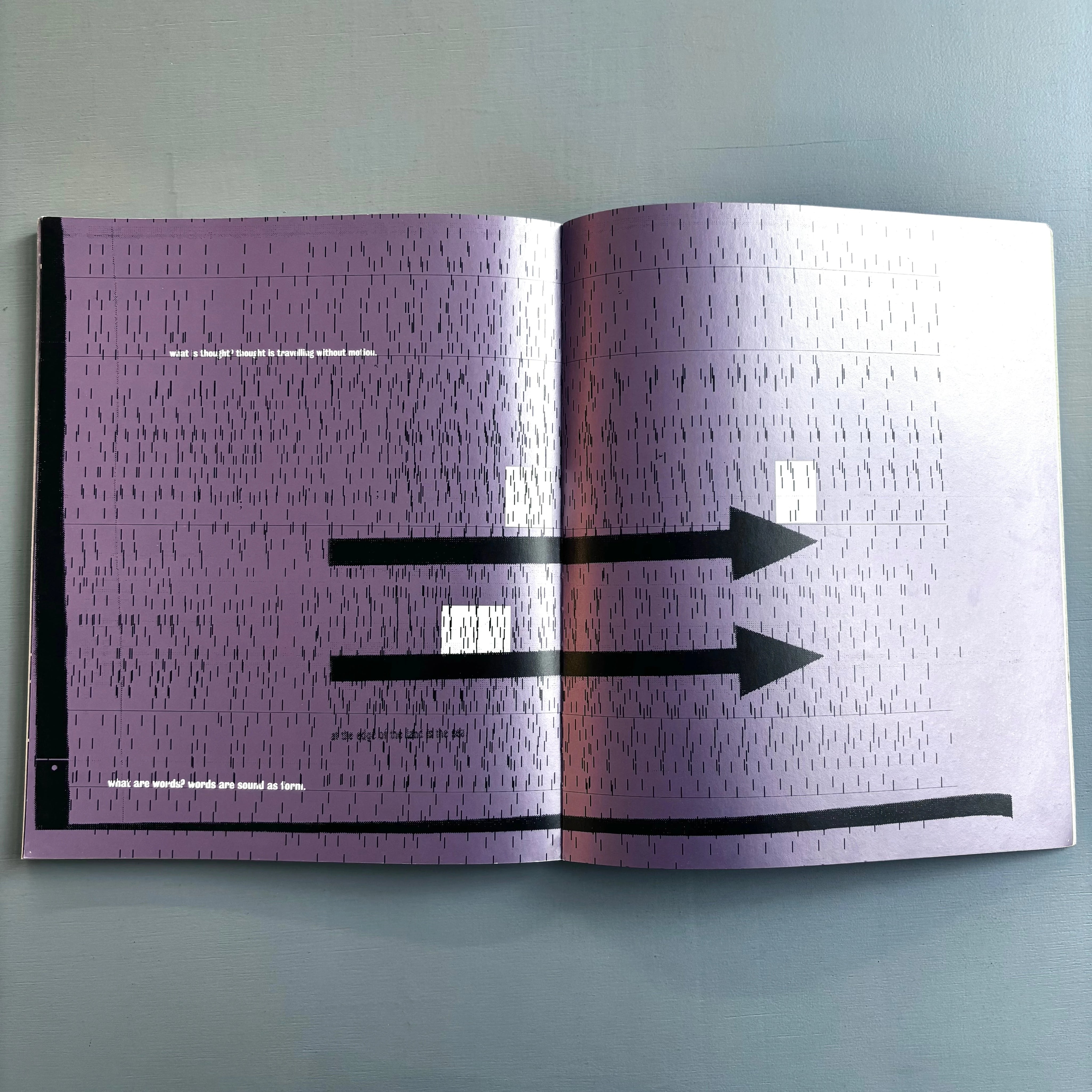 Process: A Tomato project - Thames and Hudson 1996 - Saint-Martin