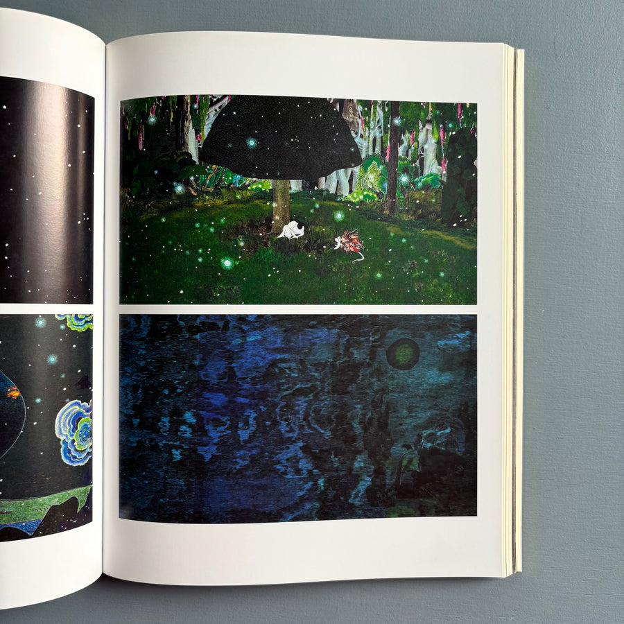 Rachel Rose - König 2021 - Saint-Martin Bookshop