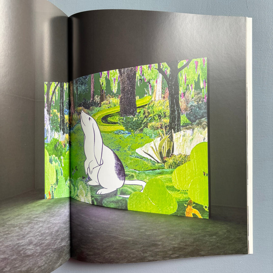 Rachel Rose - König 2021 - Saint-Martin Bookshop