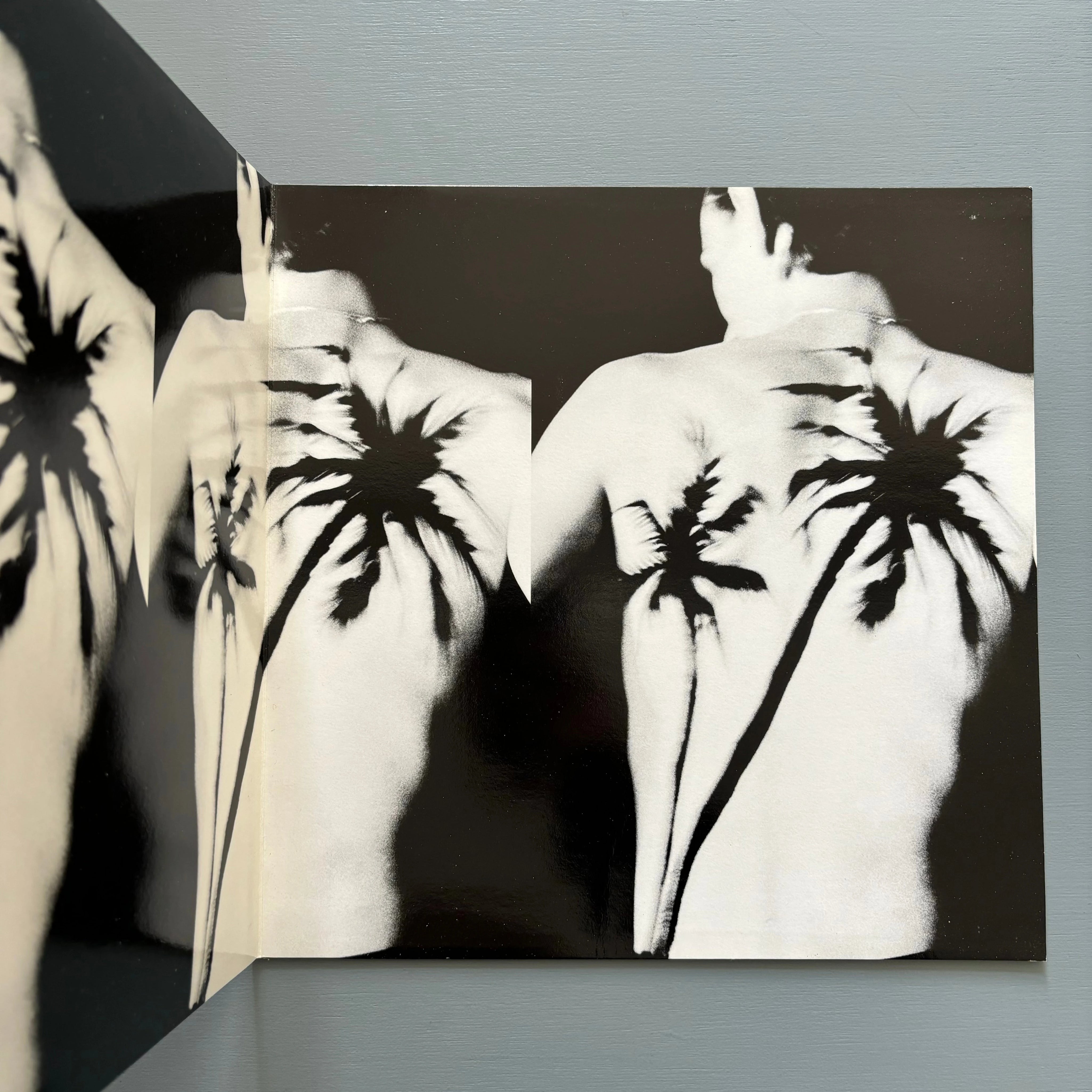 の 人気アイテムランキング Raf Simons 1998 Summer Spring - set) (complete Palms Black - アクセサリー