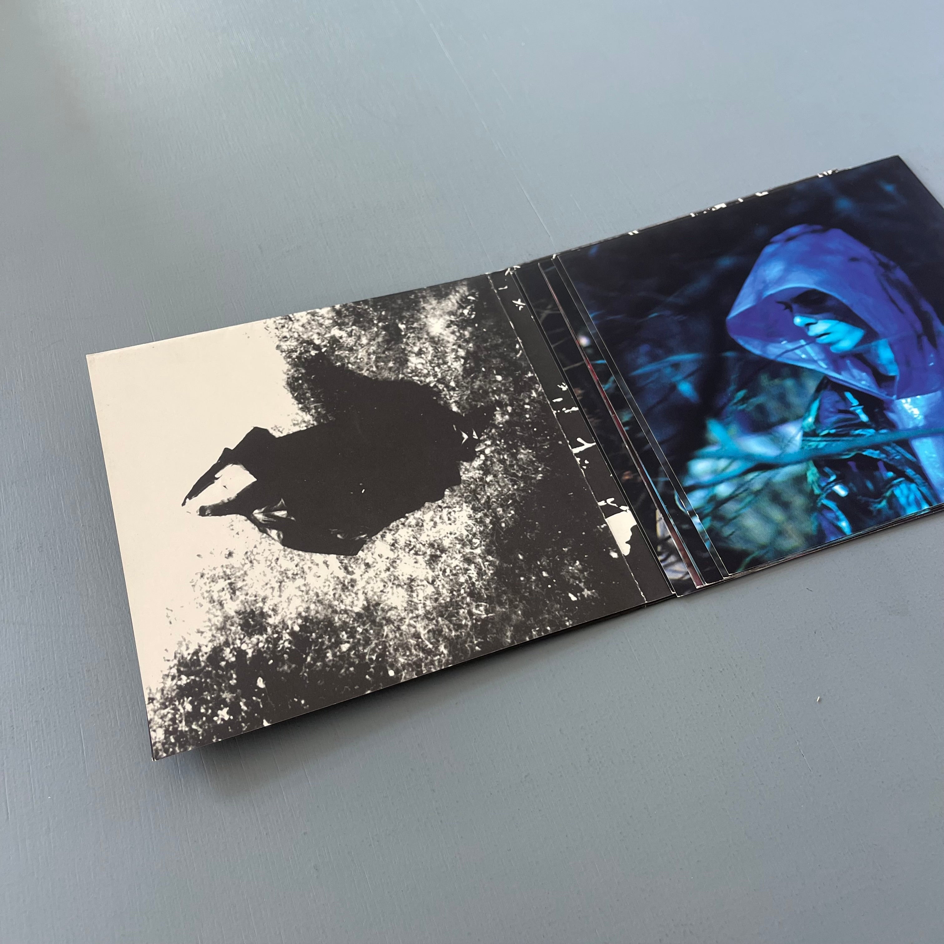 RAF SIMONS VIRGINIA CREEPER ポスターカード Raf Simons - Virginia Creeper lookbook - Autumns/Winter 2002-2003