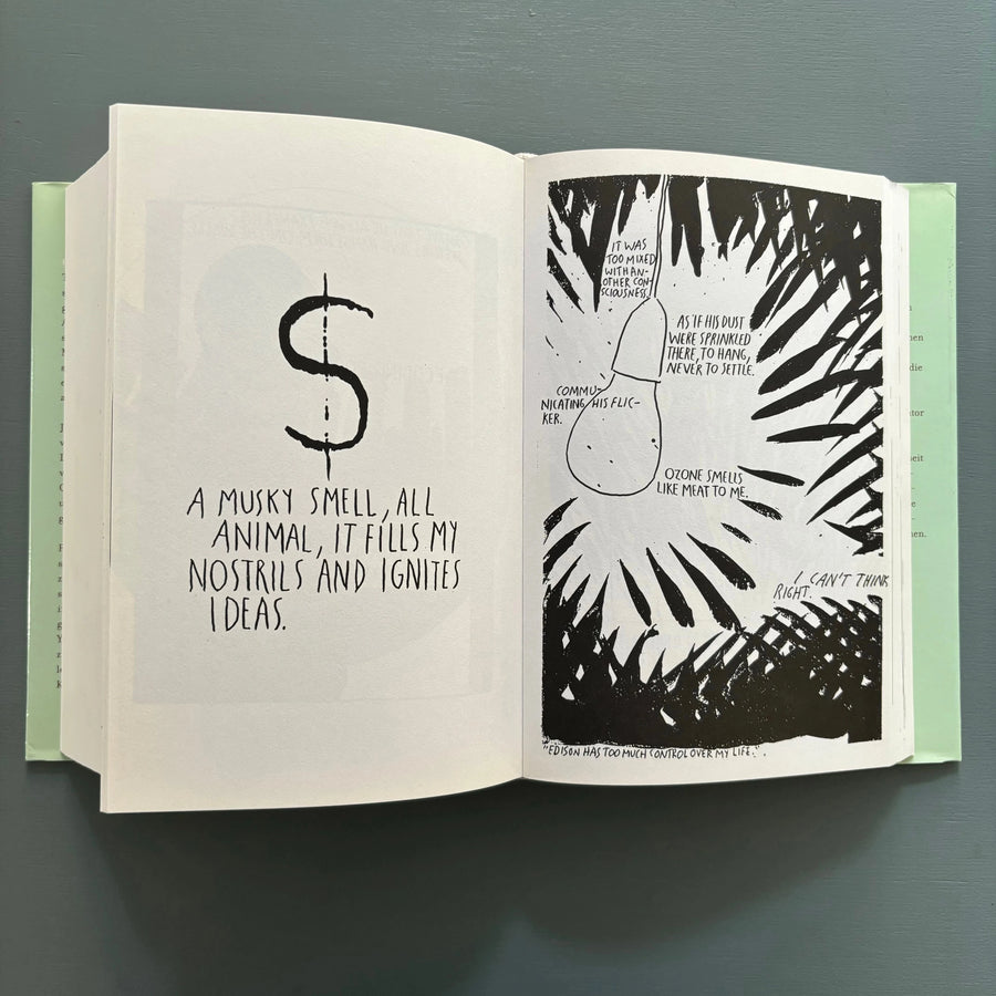 Raymond Pettibon - Aus dem Archiv der Hefte - König 2000 - Saint-Martin Bookshop