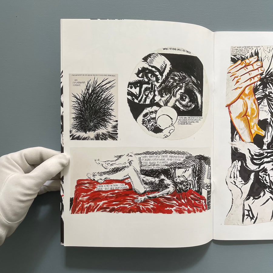 Raymond Pettibon - Looker-Upper - Contemporary Fine Arts 2011 - Saint-Martin Bookshop