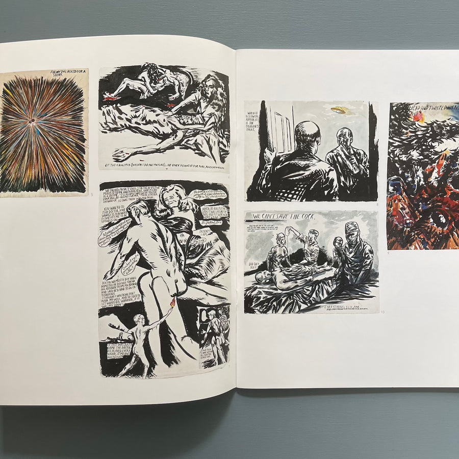 Raymond Pettibon - Looker-Upper - Contemporary Fine Arts 2011 - Saint-Martin Bookshop