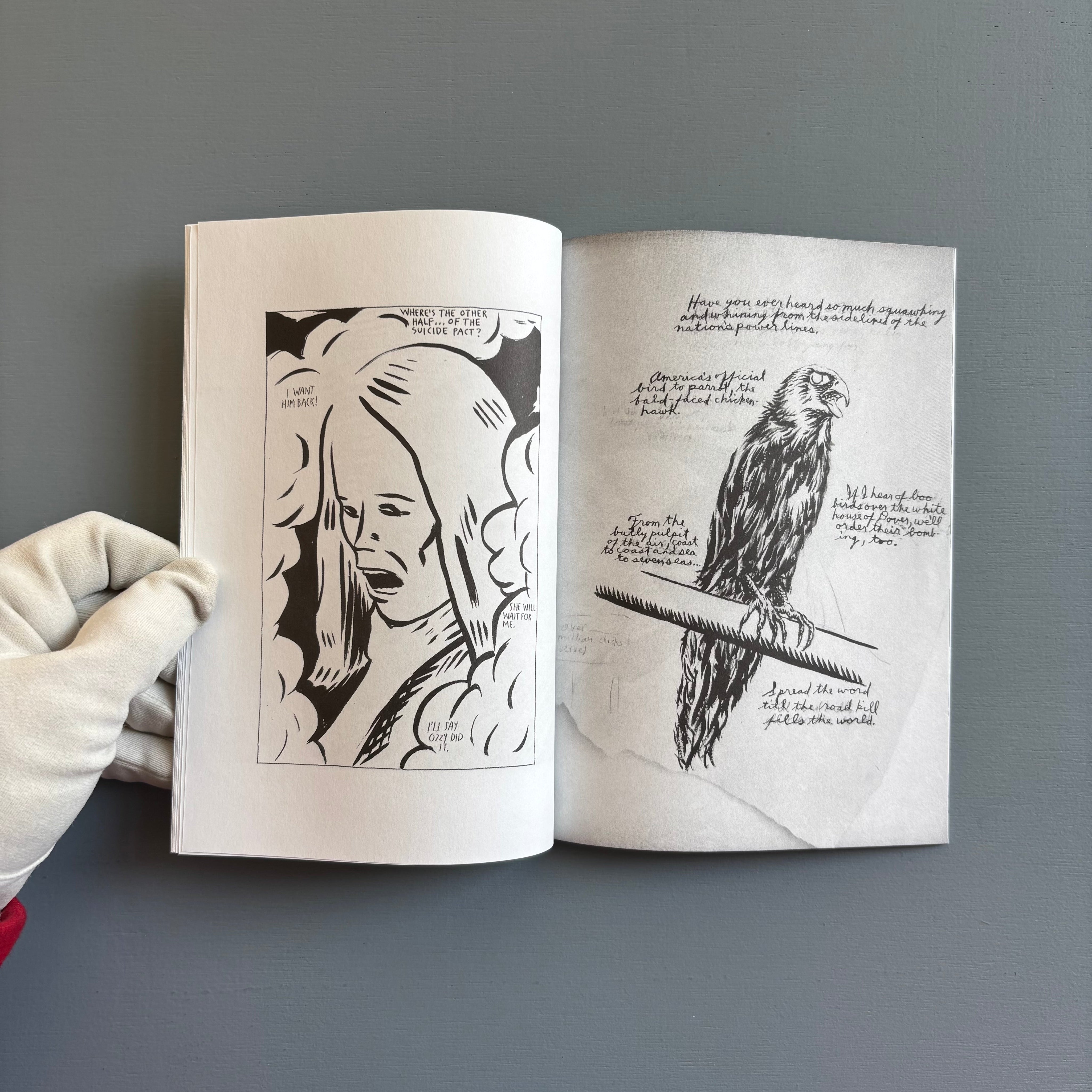 Raymond Pettibon - Selected Works from 1982 to 2011 - Nieves 2014