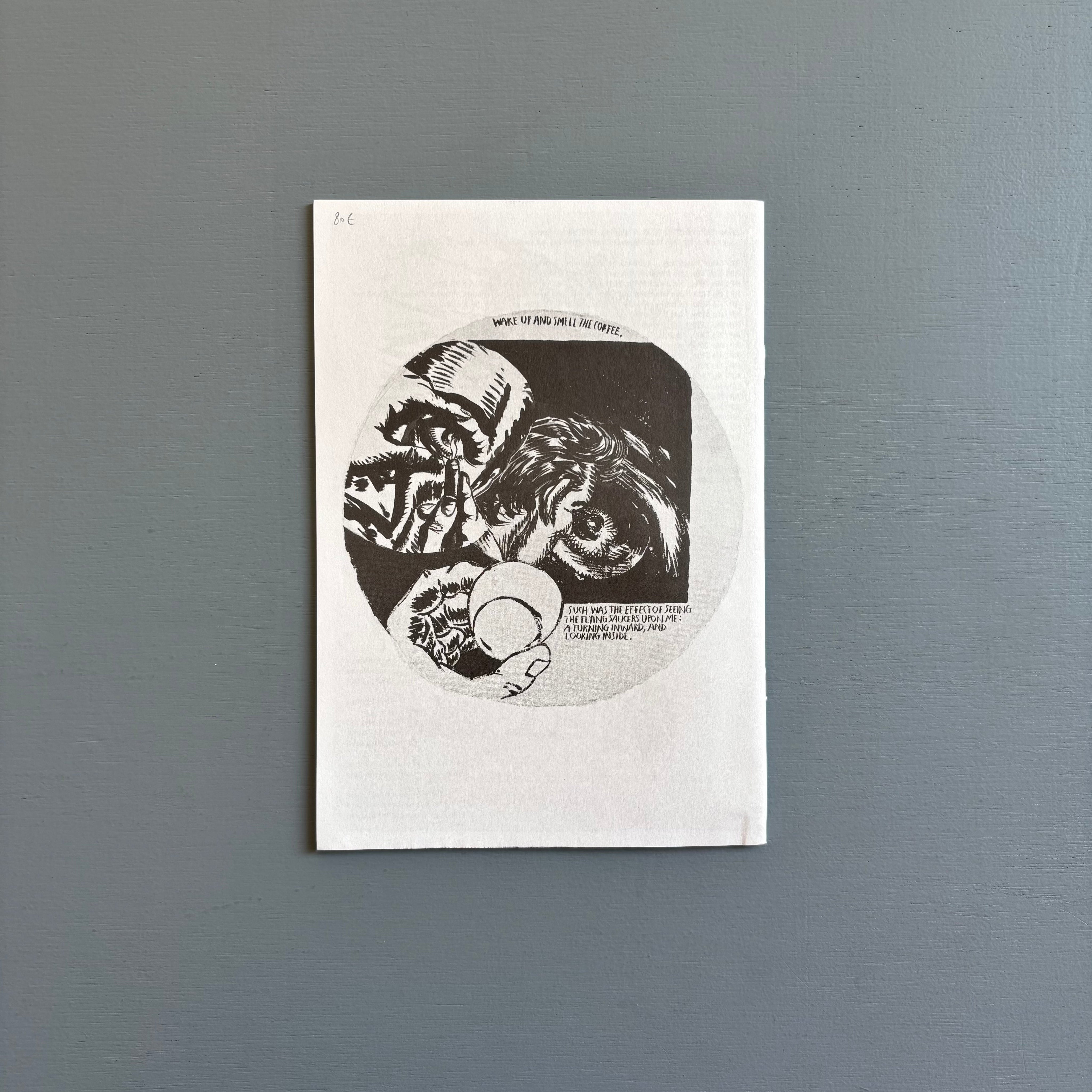 RaymondPettibon 画集 Raymond Pettibon - Selected Works from 1982 to 2011 - Nieves 2014