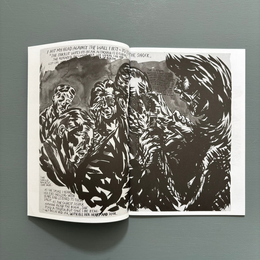 Raymond Pettibon - Selected Works from 1982 to 2011 - Nieves 2014 - Saint-Martin Bookshop