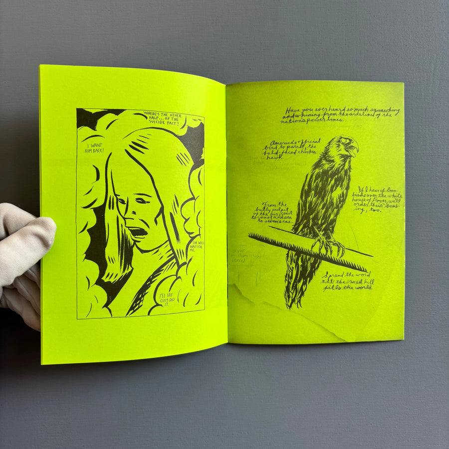 Raymond Pettibon - Selected Works from 1982 to 2011 - Nieves 2020 - Saint-Martin Bookshop