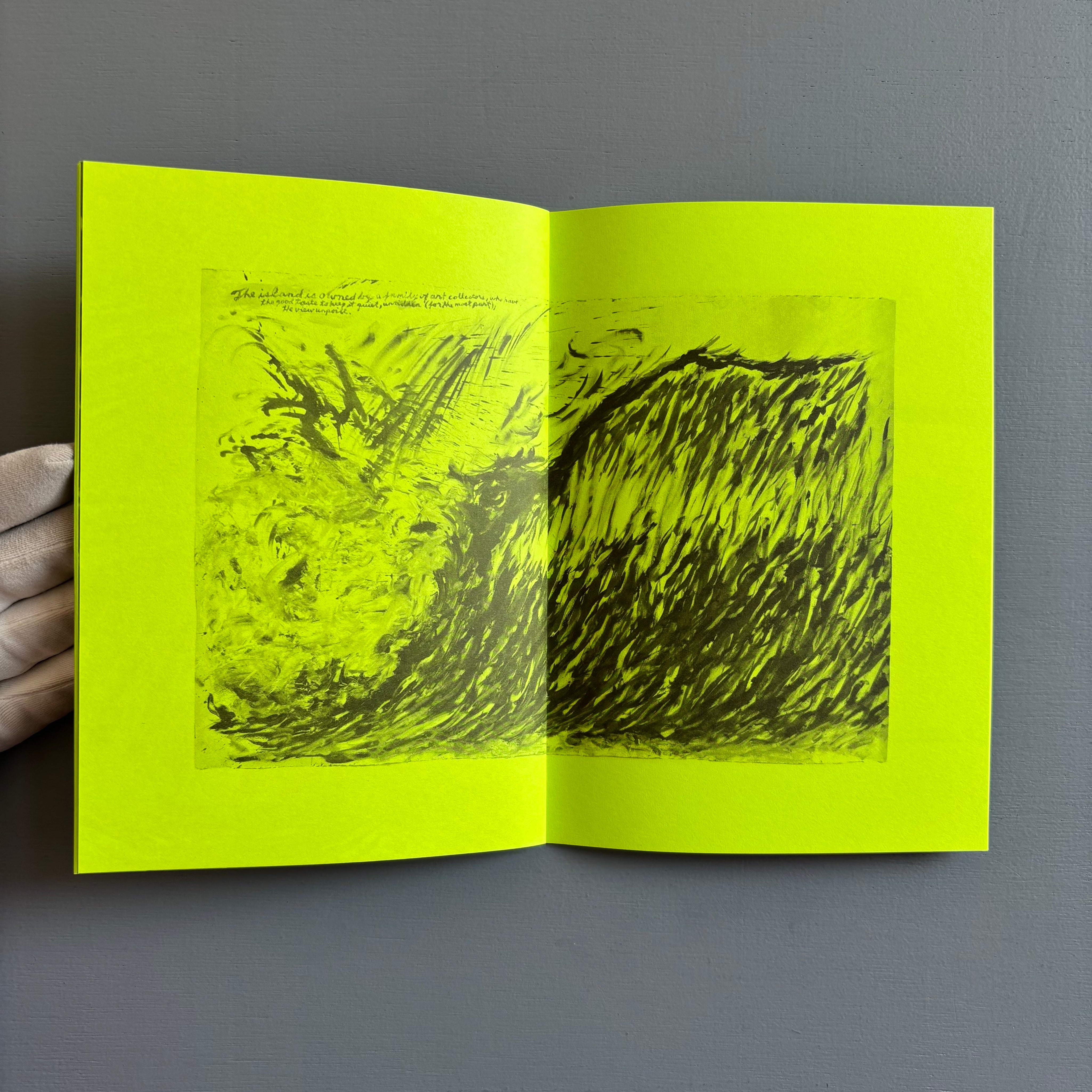 Raymond Pettibon - Selected Works from 1982 to 2011 - Nieves 2020