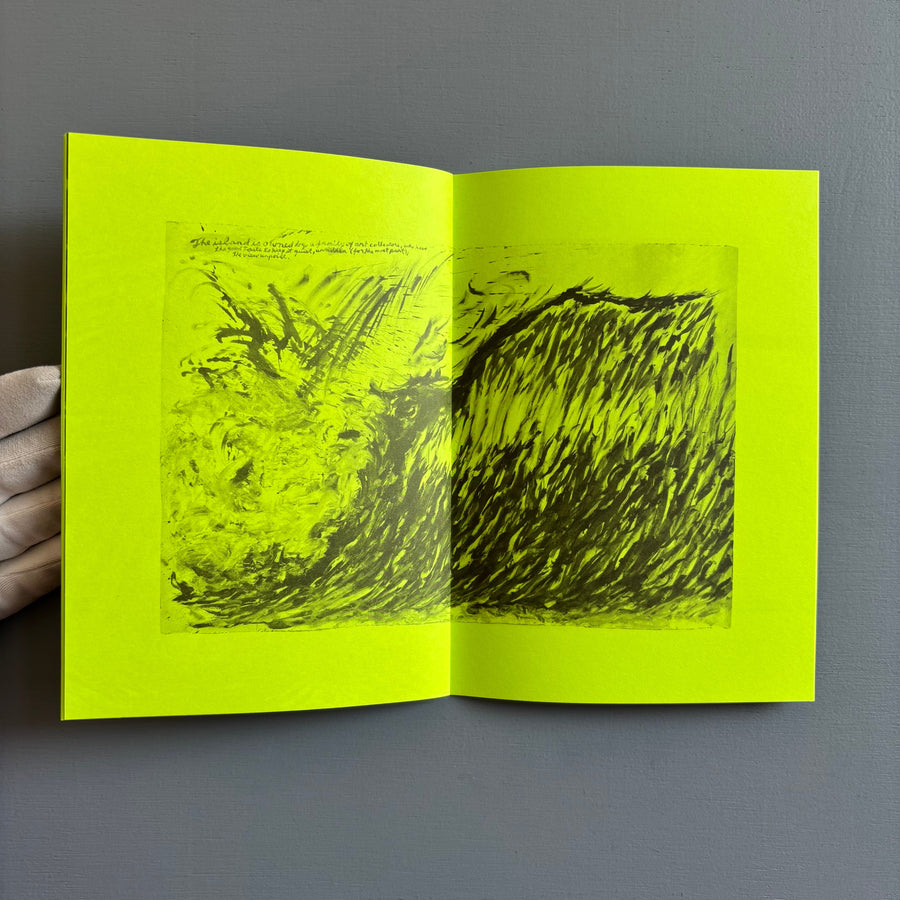 Raymond Pettibon - Selected Works from 1982 to 2011 - Nieves 2020 - Saint-Martin Bookshop