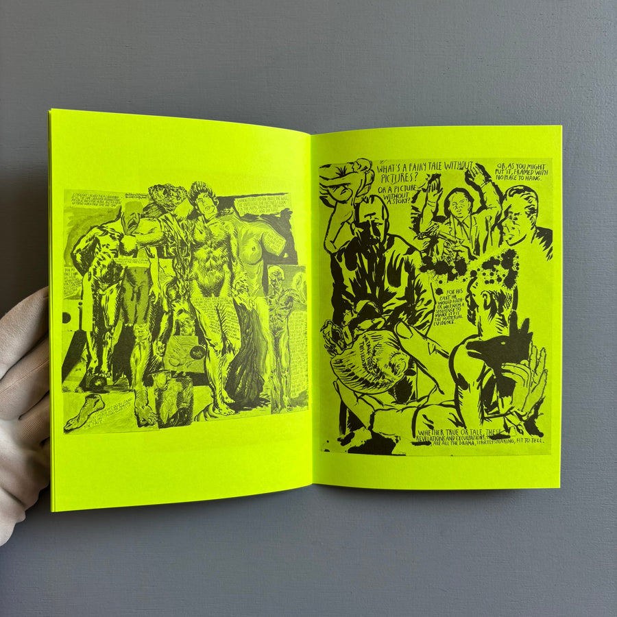 Raymond Pettibon - Selected Works from 1982 to 2011 - Nieves 2020 - Saint-Martin Bookshop